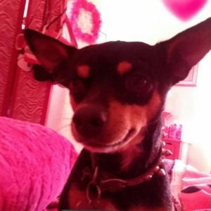 Meet your Posher, Jeanette